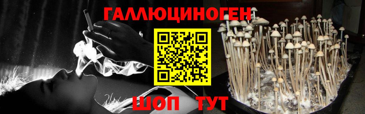 сколько стоит  Вход с VPN  Галлюциногенные грибы прущие грибы  Черкесск  Галлюциногенные грибы мицелий 